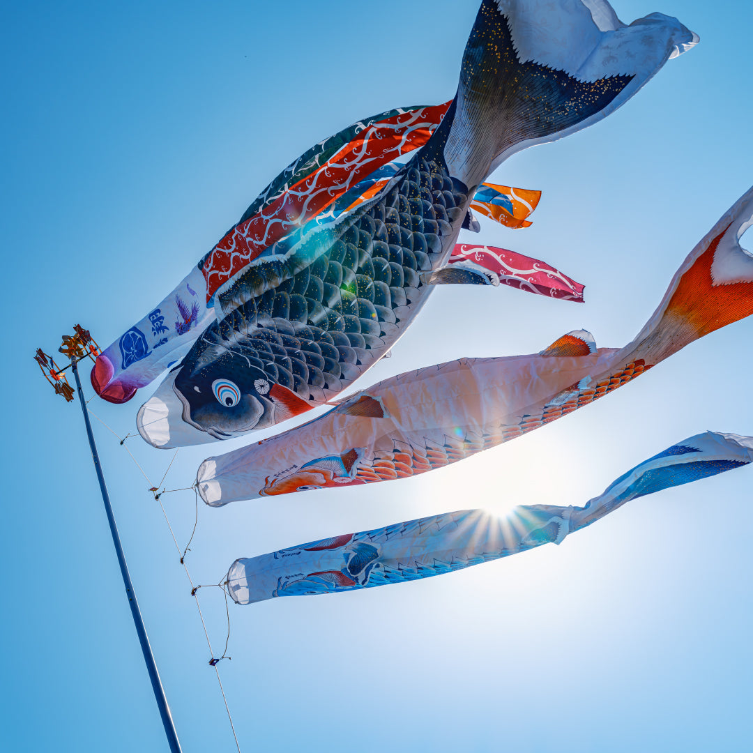 慶祝の鯉【吉兆】庭園スタンド6点セット（矢車・ロープ・砂袋＋ポール