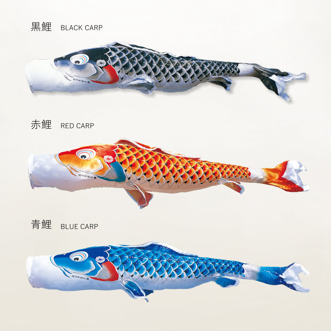 青鯉 慶祝の鯉【吉兆】単品鯉のぼり – 晴れと暮らす