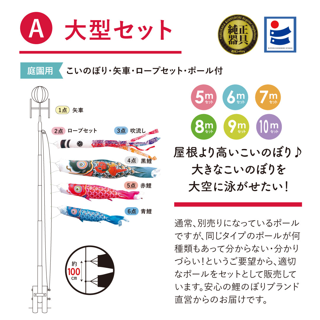 錦龍】6点大型セット｜徳永こいのぼり公式 – 晴れと暮らす