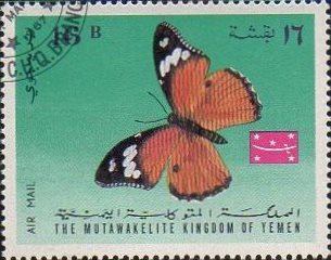 イエメン王国の蝶蛾切手
