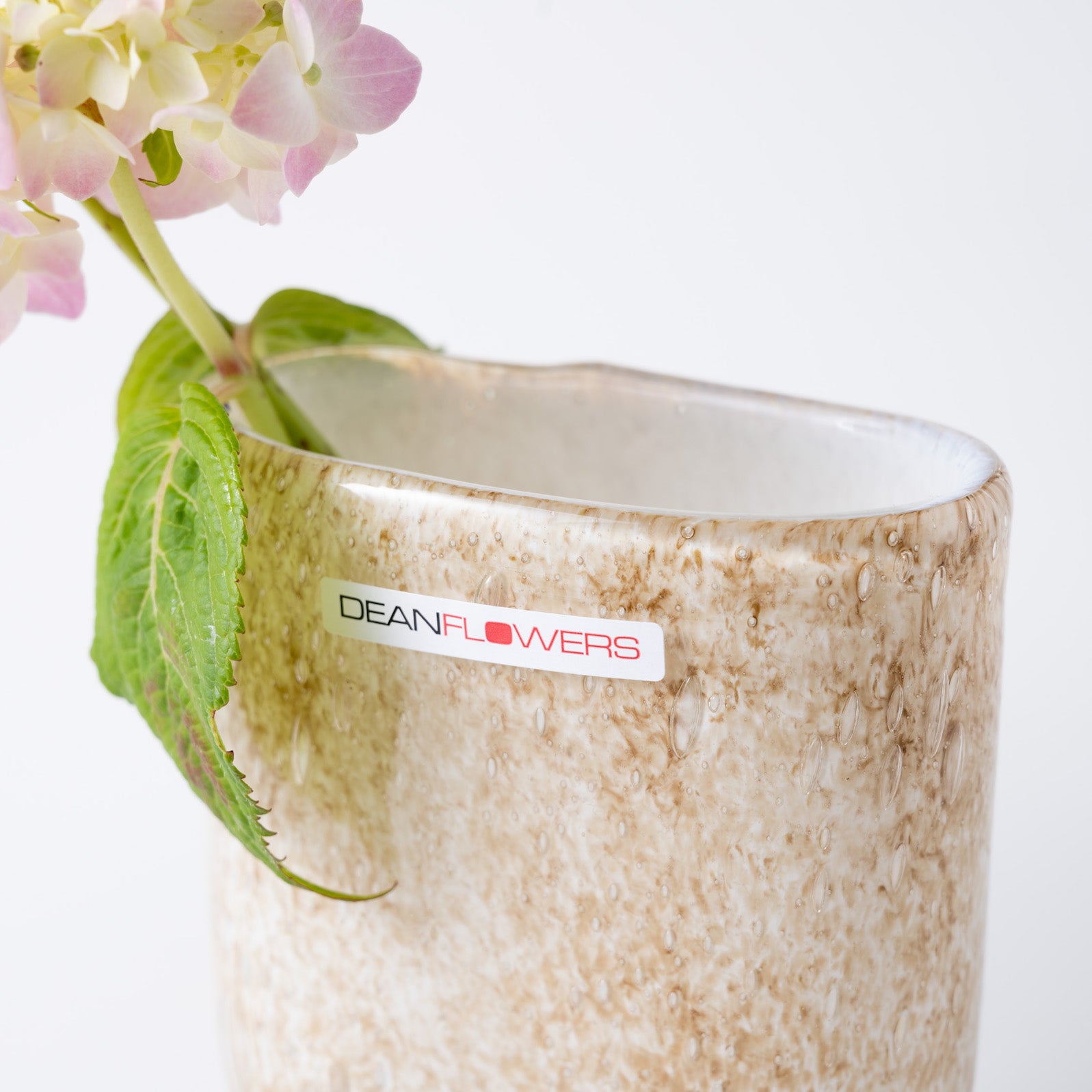 Julien XS リンクス