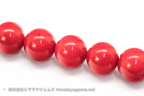 赤珊瑚 | 株式会社ヒマラヤジェムス