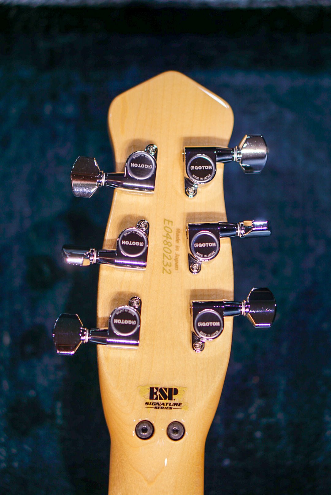 ESP RANDOM STAR-【AKIRA TAKASAKI Signature Model】【LOUDNESS