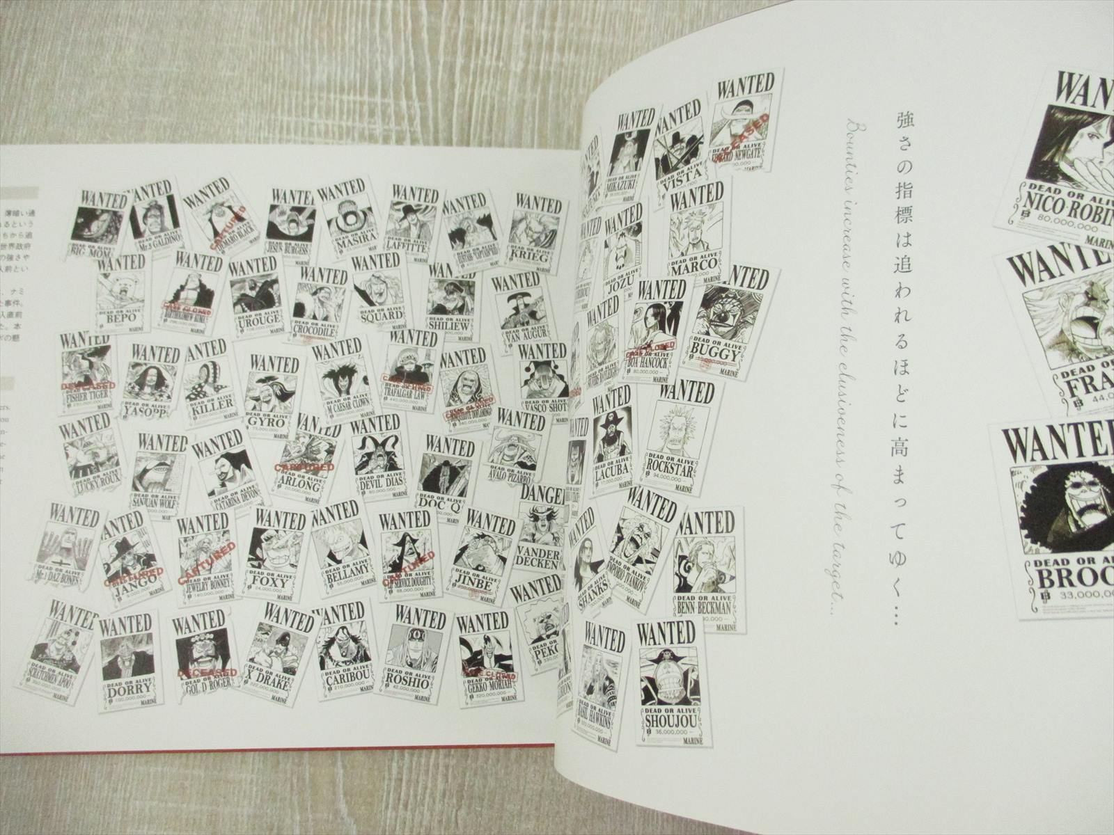 ONE PIECE EIICHI ODA Art Eternal Log 2012 Exhibition Ltd Book Set