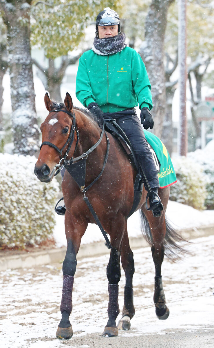 若駒S】ディープインパクトが羽ばたいた出世レースに素質馬続々