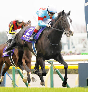 イクイノックス「年間世界1位」に木村調教師「これ以上、彼に何を