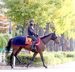 エリザベス女王杯】「瞬発力すごい」ルメールも驚く鬼脚！牝馬初