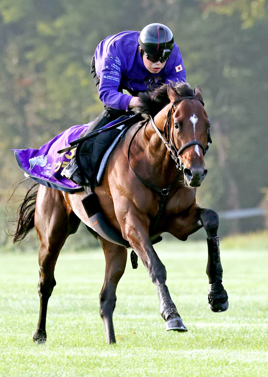 凱旋門賞】ドウデュースが芝コースで軽快な脚さばき 友道調教師「最高