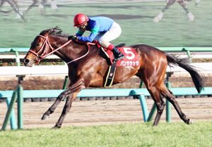 第90回中山記念 パンサラッサ 中山記念】パンサラッサが大逃げV