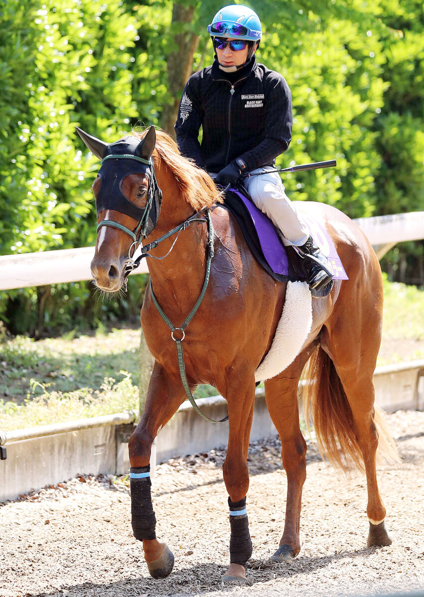 NHKマイルC】07年17番人気ピンクカメオで制した内田博幸騎手