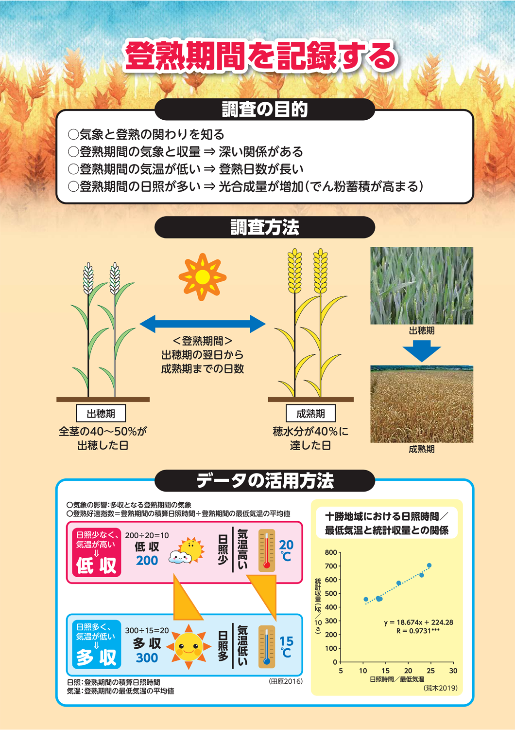 小麦安定多収のための「生育の確認とチェック！」
