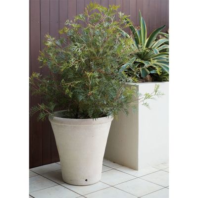 チュニジアン コニック｜ヤマテーのガーデンプランター