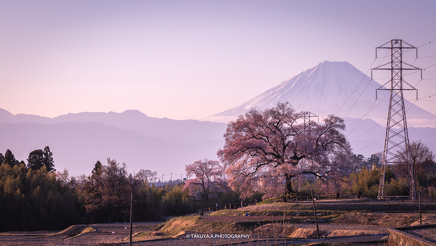 絶景撮影記 山梨県 わに塚の桜 | 一眼絶景 ICHIGAN ZEKKEI