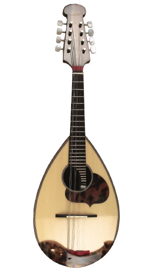 カラーチェマンドリン | 絃楽器のイグチ