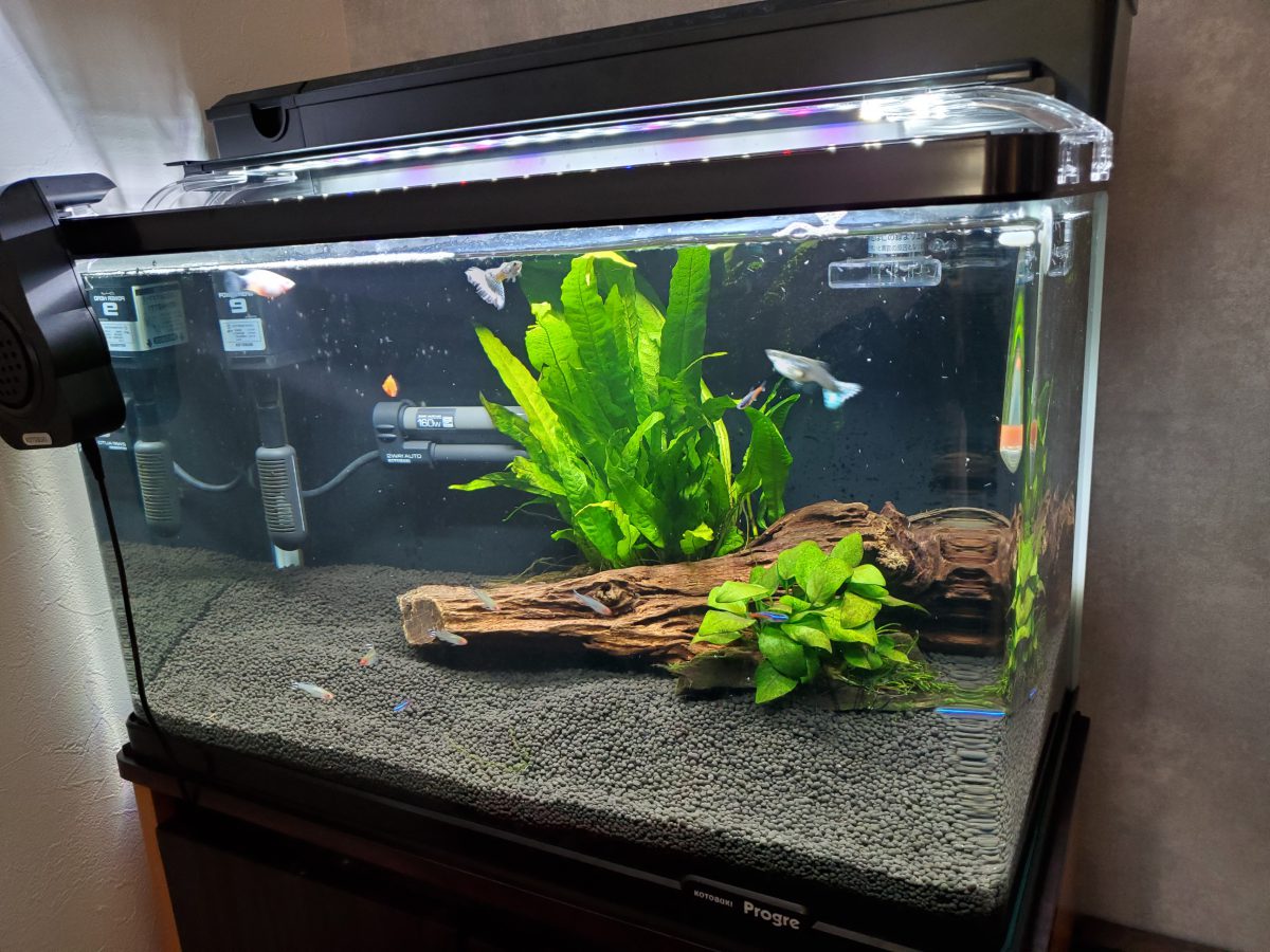 ミッキーマウス – －大工職人が建てる家－ (有)ナカムラ | 富山の注文