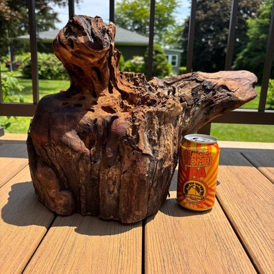 Large Driftwood Stump 17x12x13 – Oiled Statement Piece for Decor