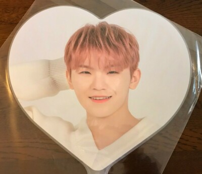 WOOZI FAN SEVENTEEN CARAT LAND 2020 goods SVT UCHIWA image picket