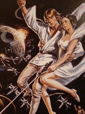 Star Wars Luke Skywalker Leia R2D2 C3PO Poster 13x19 Matte Print