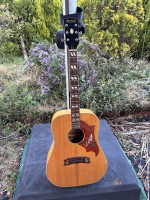 Kiso Suzuki W-65DA Quilted Maple Dove Style Acoustic Guitar Used