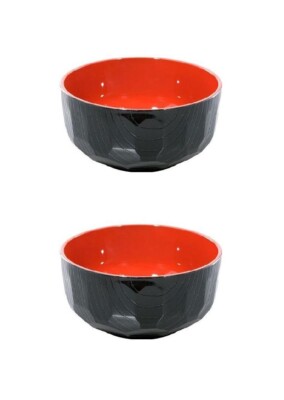 2 Pack Plastic Soup Bowl for Ramen Udon 29 fl. oz Made in Japan