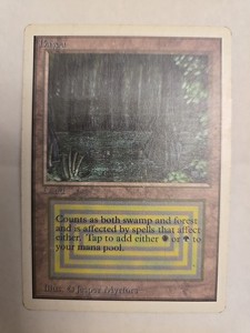 Bayou Unlimited | eBay