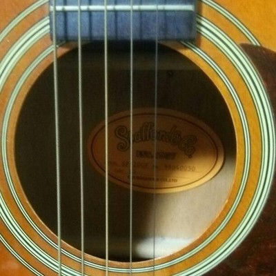 Acoustic Guitar Stafford ＆ Co. SF-200F Sunburst with Bag | eBay