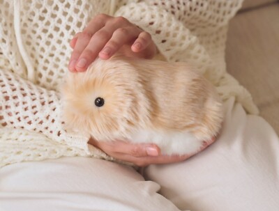 Casio AI Pet Moflin Communication Robot Gold PE-M10GD From Japan