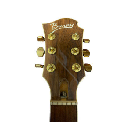 Electric Guitar Burny MG-145S Hide Model Cherry Sunburst | eBay