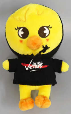 SKZOO BbokAri (Felix) Mini Plush Doll 15cm(2023) | eBay