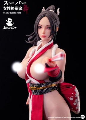 IN STOCK New NINJA CAT N001 1/6 Female Fighter Mai Shiranui 12