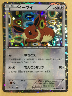 Eevee Pokemon 2012 Holo Eevee Collection File Promo Japanese 189