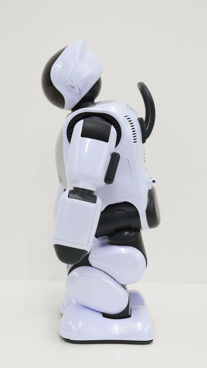 ネットから情報をゲットし自己学習・自己進化して話す＆歩くロボット