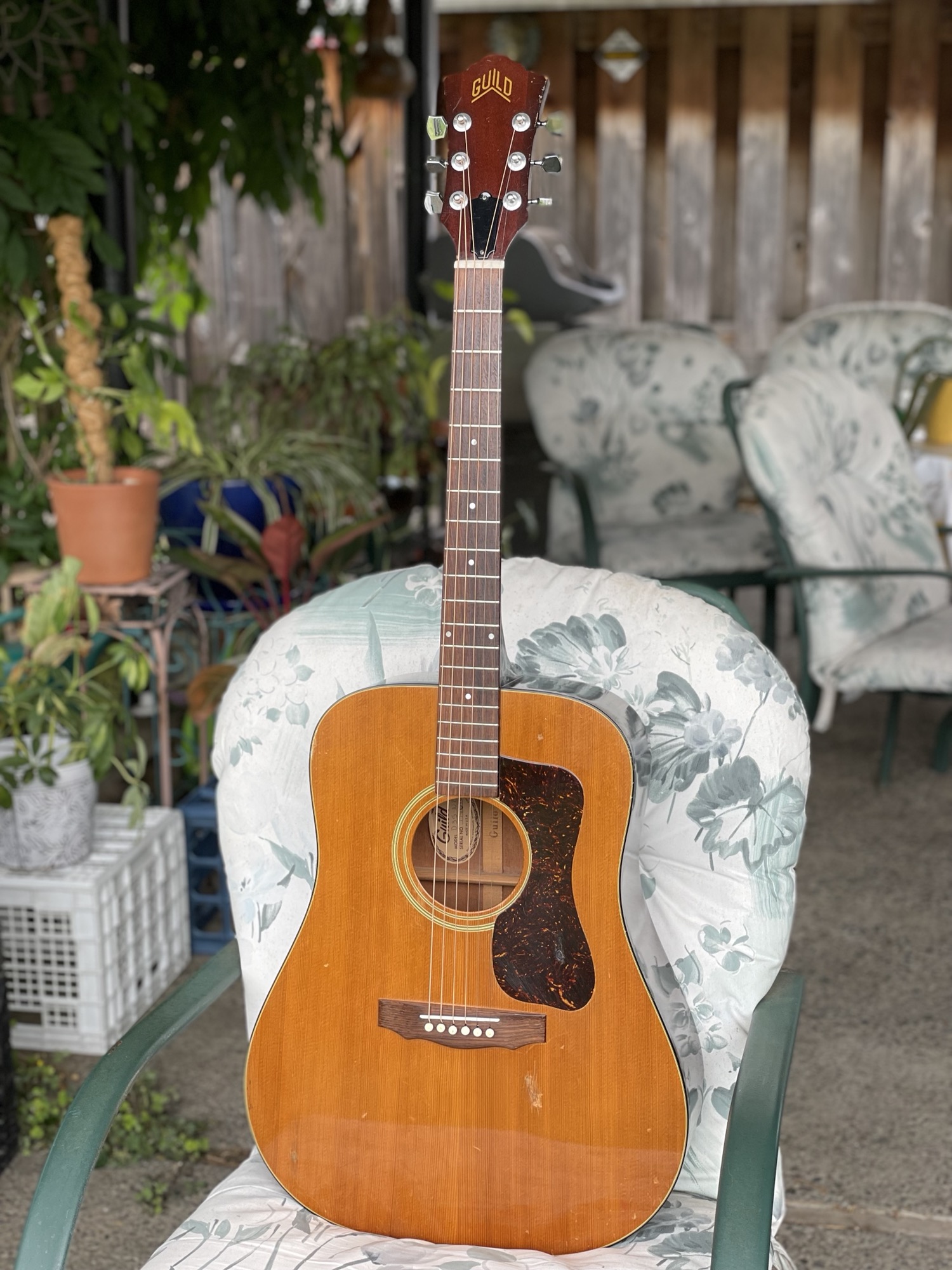 私の79年製ギルドD35 N.T. : r/guitarporn