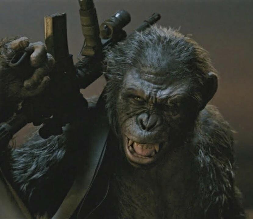コバって、猿の惑星シリーズで一番の悪役？ : r/PlanetOfTheApes