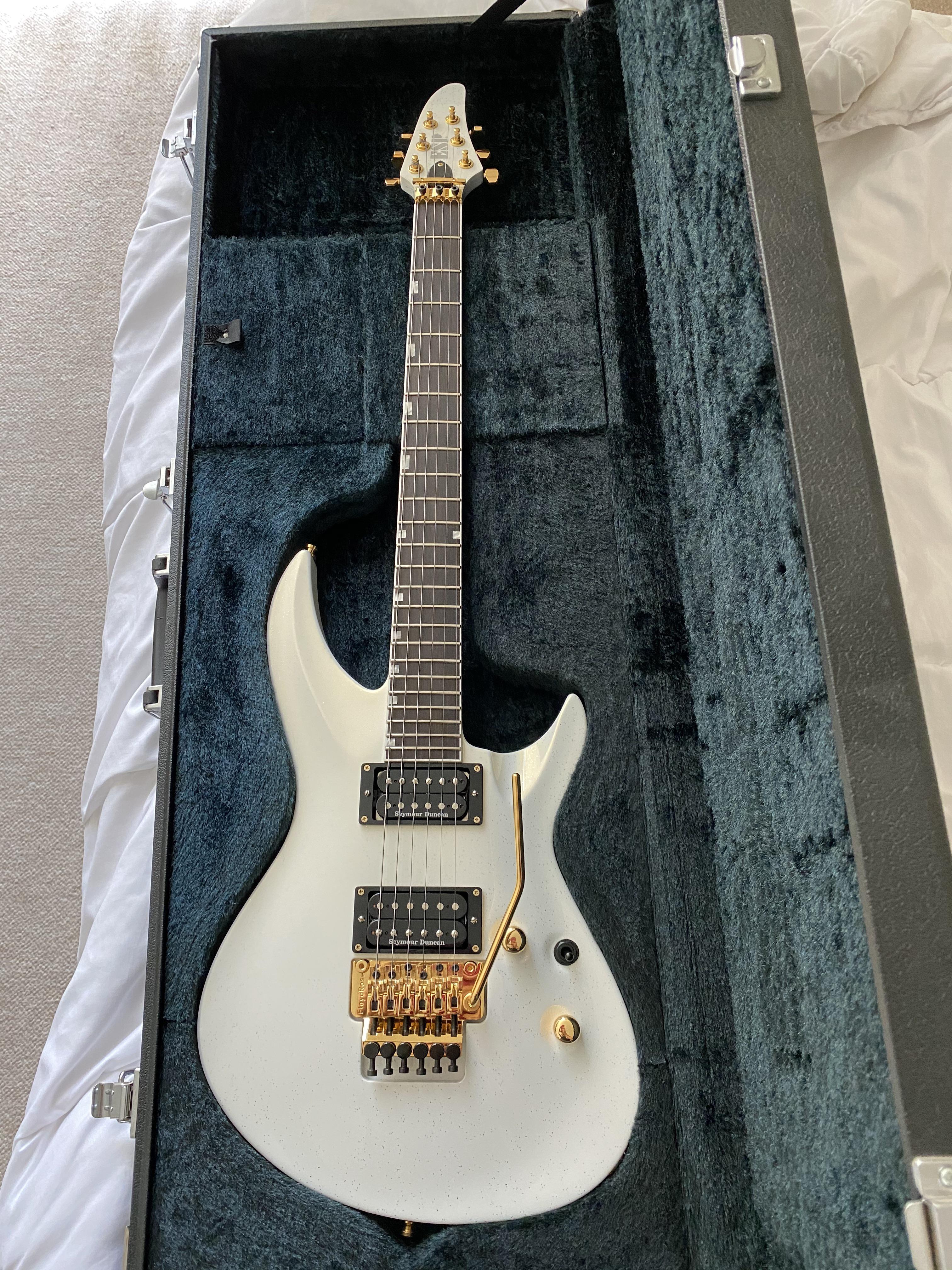 My ESP Horizon III Hizaki Custom : r/guitarporn