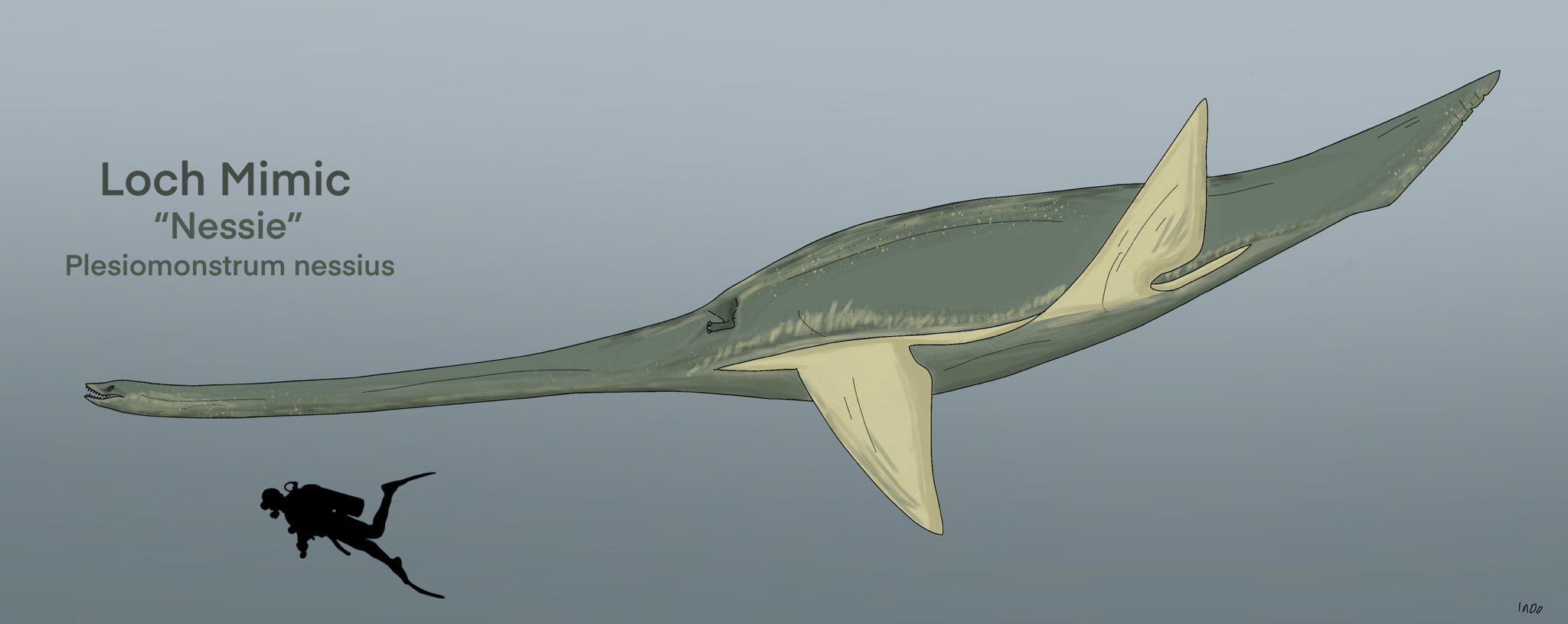 ネッシーこと、ネス湖の怪物は、プレシオサウルスに似せて収斂進化を