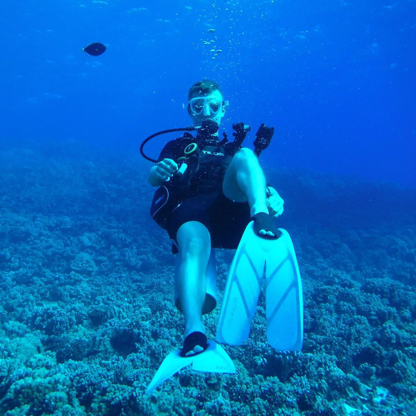 Molokini Crater, HI. A bucket list dive for sure : r/scuba