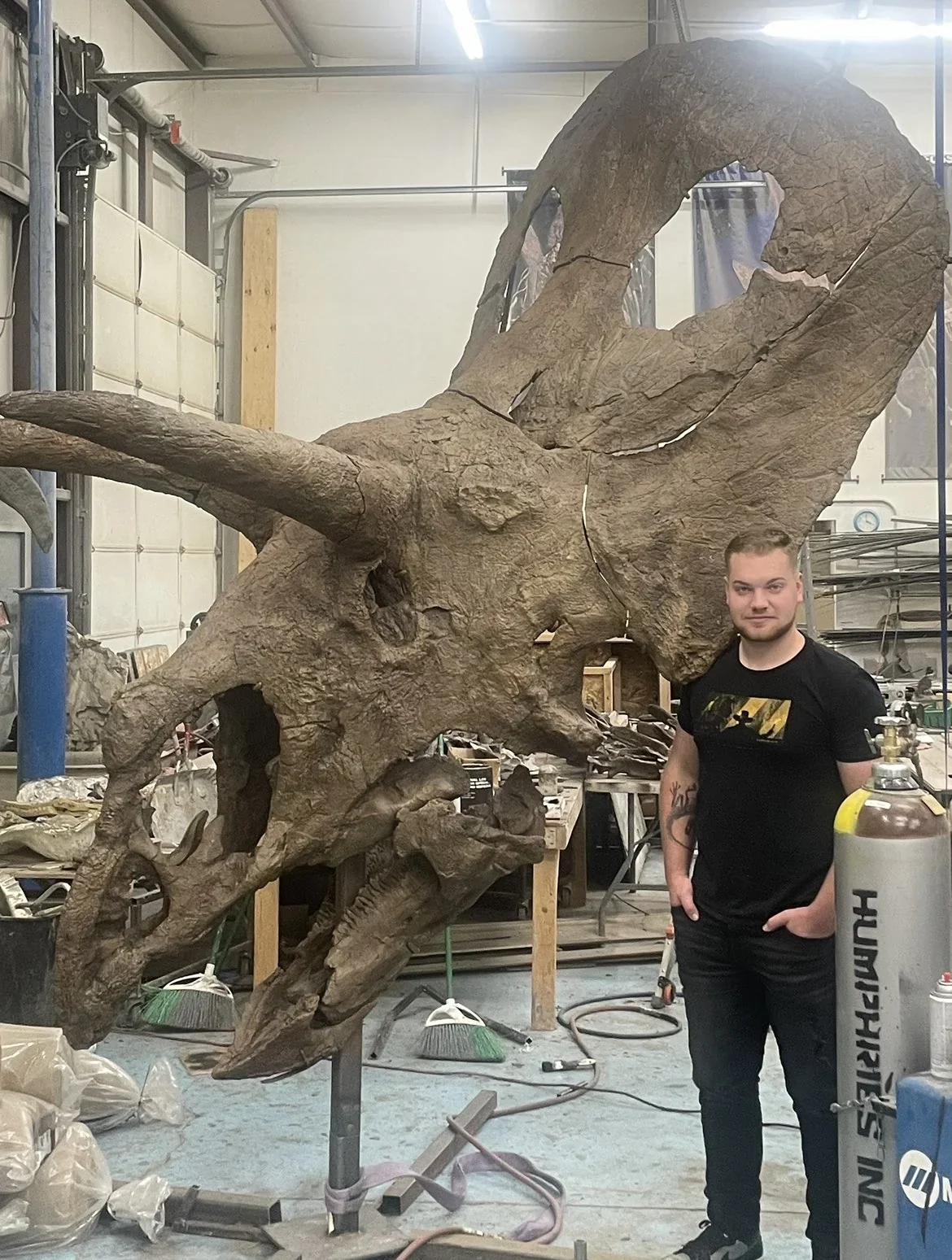 後期白亜紀北米のケラトプス科、トロサウルスの頭蓋骨 : r/Naturewasmetal