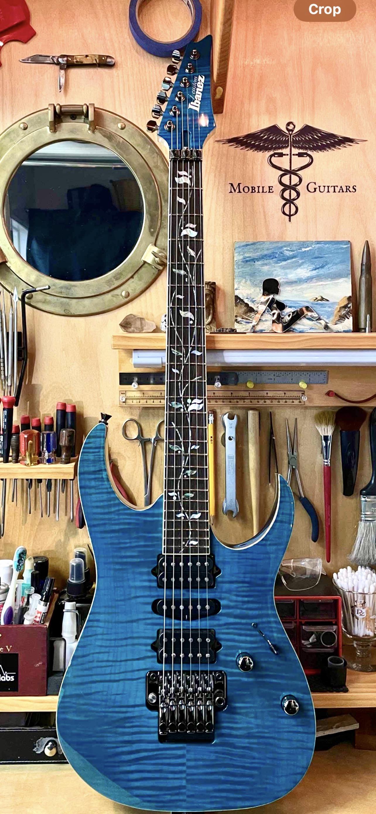 RG8570Z J Custom : r/Ibanez