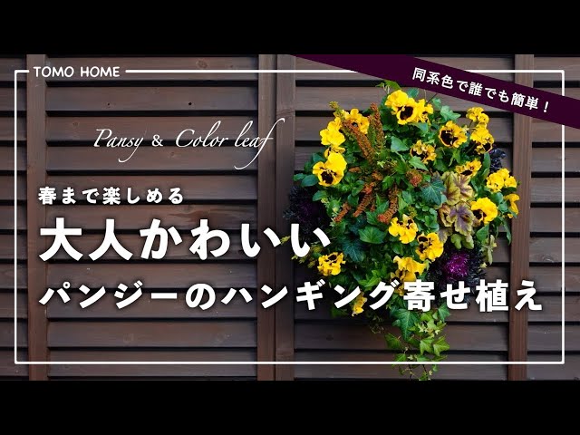 Layout diagram included!] A cute hanging pansy arrangement for
