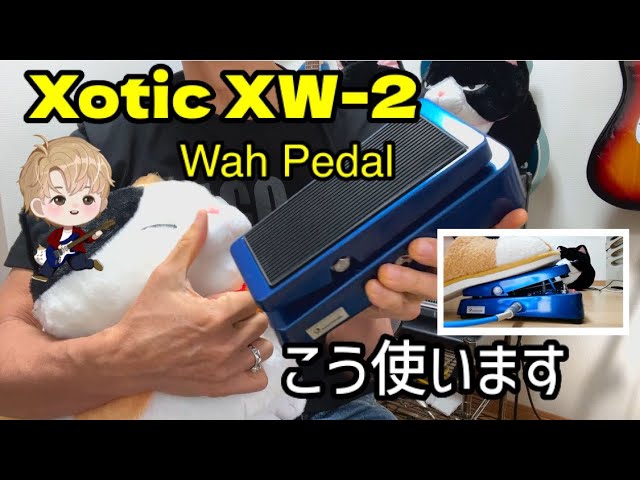 Xotic Wah XW-1 常田大希使用 King Gnuの常田大希も愛用