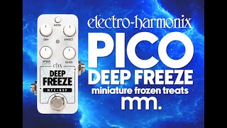 MusicMaker Presents - EHX PICO DEEP FREEZE: Did EHX Just Sneak A