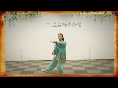 日本太極気功法協会 - YouTube