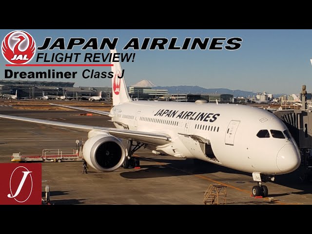 Japan Airlines Flight Review! | Class J | Domestic Dreamliner 787