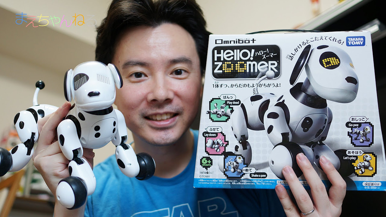 Super cute and moving dog robot Hello! Zoomer Omnibot - YouTube
