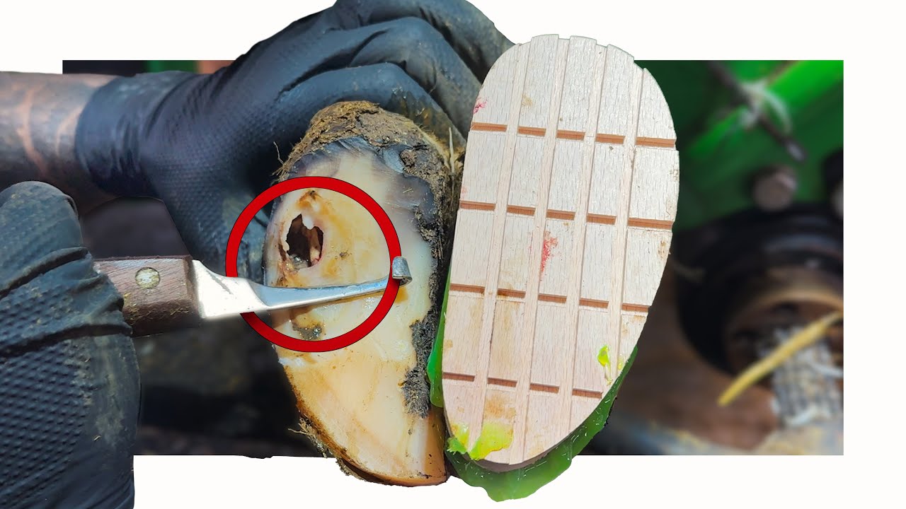 Yusuke Hanai Popcorn Bowie sculpture unboxing - YouTube