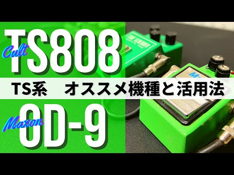 TS系ペダルのオススメ機種 (Cult TS808 1980 #1 Cloning Mod, Maxon