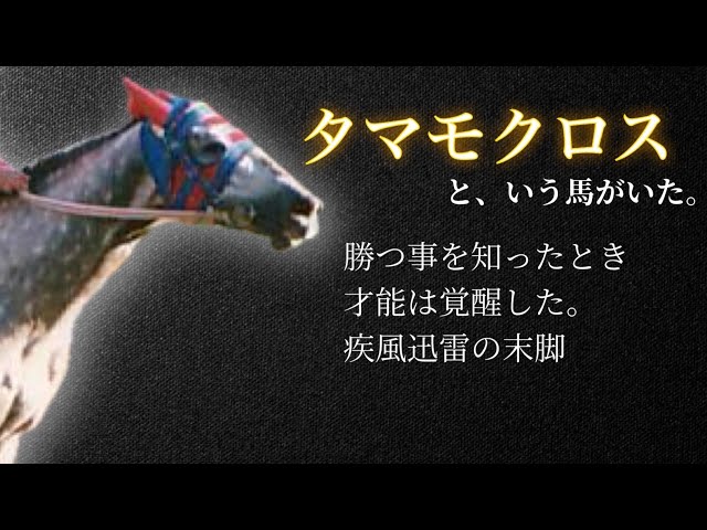 White Lightning] Tamamo Cross 🏇 - YouTube