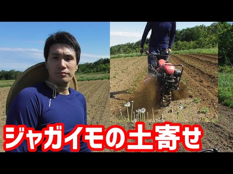 ジャガイモの土寄せをしました【一輪管理機】 - YouTube