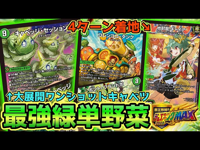 緑単キャベッジ グランセクト 【24時間以内発送】 緑単キャベッジ/緑単